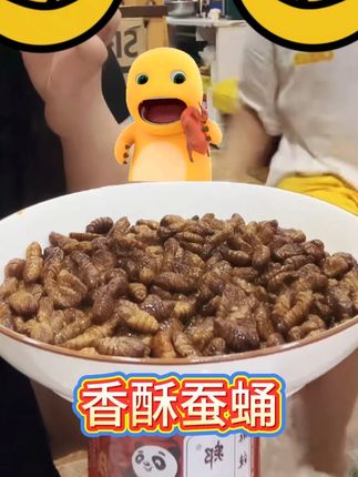 麻辣蚕蛹 #麻辣蚕蛹 又酥又脆又香,满满的都是蛋白质,吃过一次就忘不了!新鲜蚕蛹制作,罐装更方便保存,追剧下酒来一罐,香香脆脆,真的太好吃了!#追剧小零食 #下酒菜 #妈呀太香了 #蚕蛹