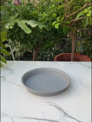 花盆底部透气托架花盆垫高底垫透气垫耐用加厚透气防烂根支架托架 #花卉植物园 #长寿花度夏 #长寿花 #长寿花养护 #防烂根托架