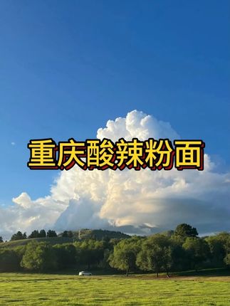 酸辣粉面