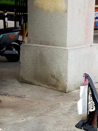 加大不锈钢锅架蒸架多功能厨房置物架防烫锅垫隔热架大小通用#锅架#不锈钢锅架#多功能锅架#厨房置物架#置物架