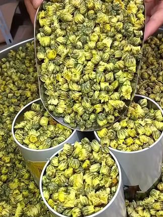 【两罐】胎菊花茶,胎菊王花草茶,货菊花茶 #胎菊 #胎菊花茶 #胎菊王 胎菊#胎菊花 胎菊#胎菊茶 #