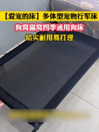 有了这个一年四季都能睡的行军床,你就再也不用折腾其他狗窝了,精钢材质结实耐用,一张床用到狗狗毕业、#宠物行军床 #养狗经验分享