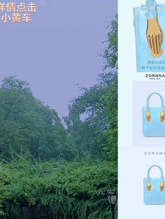 Zornna包包女式2025新款小众设计手提女包高级感轻奢夏
