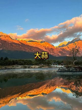 今年新蒜,看到什么样,收到就是什么样!所见即所得。超市一斤价格在我们产地可以带走一箱,库存已经不多了!视频下方抢购够吧!#大蒜 #无限回购的宝藏单品 #在抖音入手的好东西