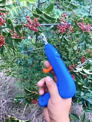 采摘花椒专用神器剪花椒水果蓝莓樱桃香椿葡萄草莓荔枝摘果神器#好物推荐🔥