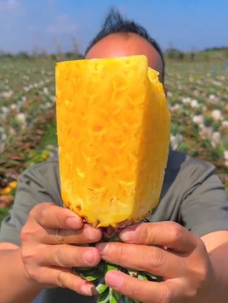 #g 口口都爆汁,浓郁果香超勾人,没试过的一定要体验这份美味! #海南金钻凤梨  #新鲜应季水果 #大人小孩都爱吃 #优质农产品