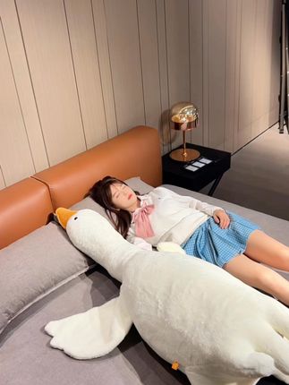 可爱抱着睡觉舒服大白鹅 #毛绒玩具 #网红家具 #家居生活 #抱枕