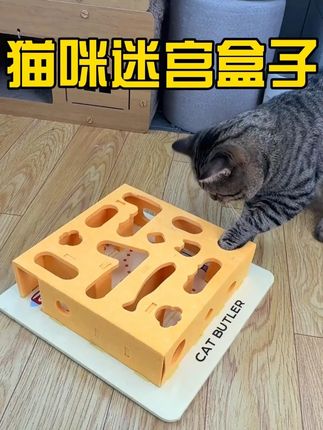 小猫也有自己的手机啦 #新手养猫 #萌宠好物 #逗猫玩具