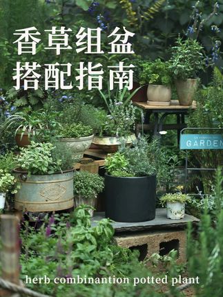 组盆搭配指南| 🌿组盆搭配速成指南! 💡选植株→ 高低错落 × 色彩呼应!✨ 定主次→ 焦点植物 + 垂吊/铺面!🌱 配基质→ 疏松透气,排水第一!💧 养护点→ 光照需求匹配是关键!☀️ 简单几步,打造和谐小景!快动手试试吧~ 💚