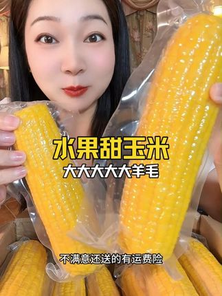 强烈给姐妹们安利这个水果玉米,不仅价格便宜,品质真的巨好,一口爆汁,超甜!还特别嫩,当做早餐或自律代餐都很合适#甜玉米 #水果玉米 #超便宜超划算 #大人孩子都爱吃 #粗粮