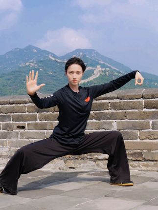 万里长城永不倒,千里黄河水滔滔! #武术 #太极 #弘扬中华武术