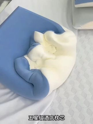 深睡记忆枕Pro深睡慢回弹护颈记忆枕双芯助睡眠好物#记忆枕 #乳胶枕 #枕头 #头枕 #护颈枕