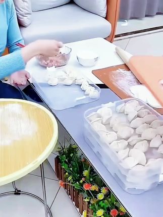 大容量饺子收纳盒家用冰箱密封保鲜盒多层手提食品材质塑料透明盒#饺子收纳盒 #饺子收纳盒推荐 #饺子收纳盒放冰箱不干皮不串味