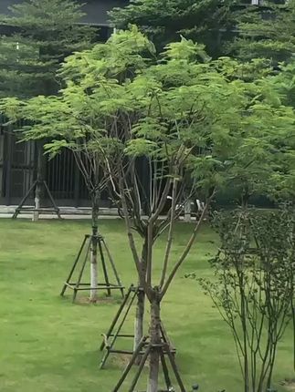 #风景 #风景都在路上