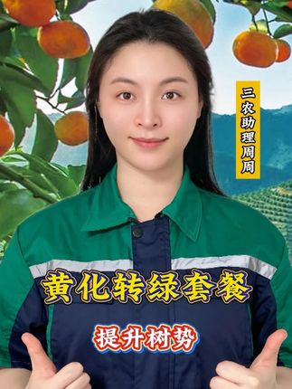 小老树,黄叶树,看过来,一个方案改变它,让树变得绿绿的 #种植小技巧 #服务三农支持三农 #肥料 #病虫害防治 #农业种植技术