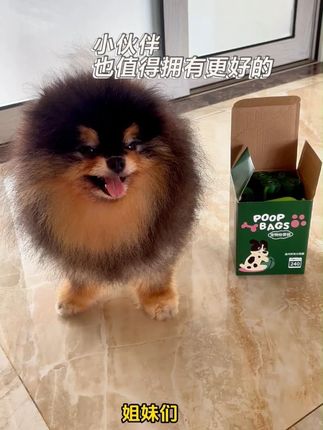 养狗人必看!这个绿色小袋子,让遛狗体面到爆! #加厚宠物袋#宠物好物推荐 #宠物袋 #宠物袋厂家 #力迪生活