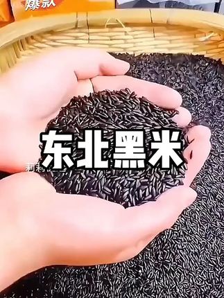 东北香黑米,香甜软糯,颗颗饱满,营养丰富!#黑米 #粗粮 #五谷杂粮 #黑米的营养价值