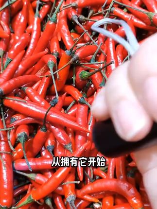 可以检测荧光剂的多功能紫光灯,价格开的低到离谱 #紫光灯 #检测灯 #荧光剂测试