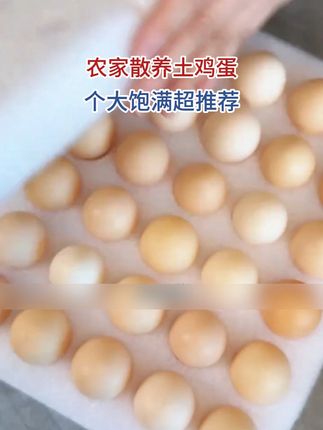 农家散养土鸡蛋,喜欢的下单!#无限回购的宝藏单品