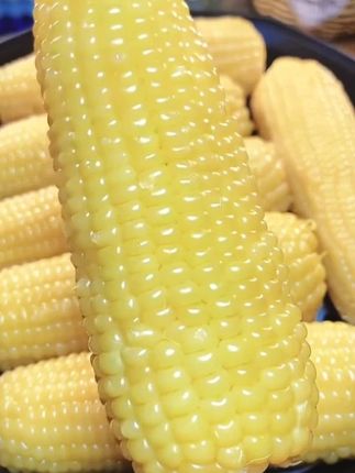 这个#玉米  我们全家都爱吃,它是那种又嫩又糯又甜的玉米,当早餐晚餐都适合#糯玉米 #粗粮 #白糯玉米