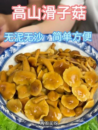 福建高山滑子菇 味道鲜美 无泥无沙 #滑子菇 #滑子蘑 #菌菇 #下饭菜