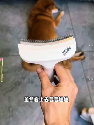 嘎嘎好用的宝藏梳子,去浮毛去底绒,帮毛孩子脱去身上厚厚的大棉袄 # 萌宠好物 # 养狗经验分享 # 浮毛梳 # 打薄梳 # 新手养狗
