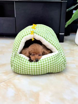真的没想到这个毛毛虫窝窝,我家狗这么喜欢!放在哪找到哪,满足了小狗爱钻洞,拥有安全感,舒适柔软,真的钻进就不想出来了!#宠物秋冬季窝窝  ~#狗窝