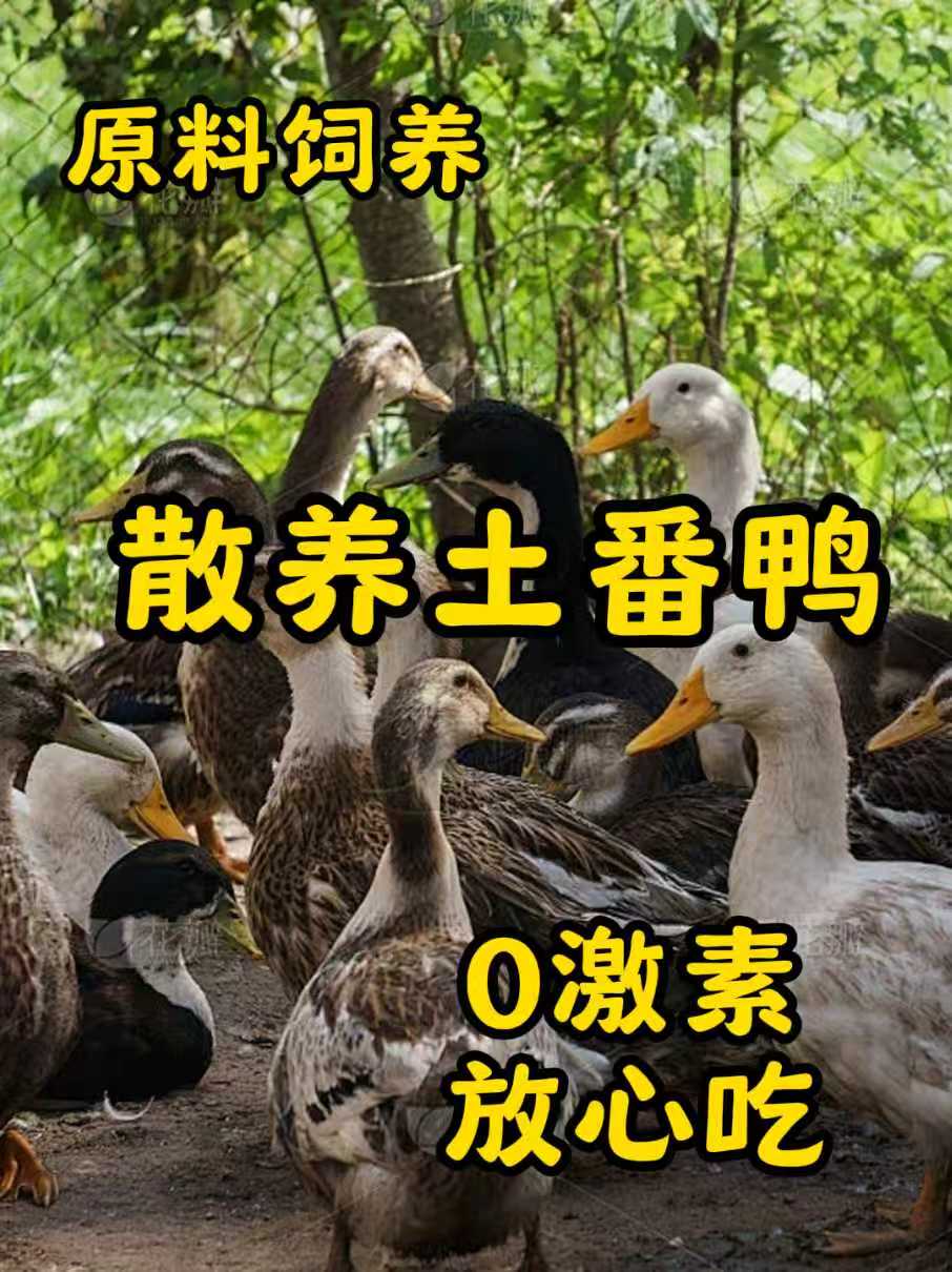 #闽南 #闽南语 #闽南人 #闽南地区 #闽南特色