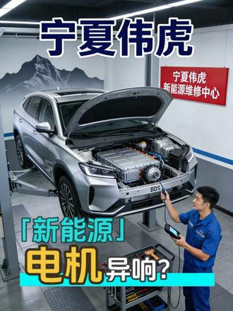 电机异响,怎么办?检查这两处,轻松解决问题!#宁夏伟虎#银川新能源专修