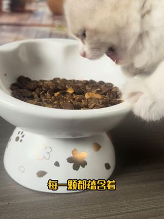 太尔冻干猫粮 #别划走#日常卡点#猫粮#记录猫咪日常