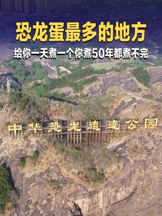 全世界最多恐龙蛋的地方,给你一天煮一个你煮50年都煮不完 #恐龙蛋化石 #河源 #航拍