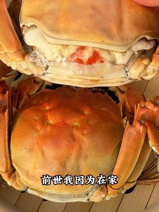 想聆听我复仇计划的点我头像 #秋后的大闸蟹顶盖肥 #大闸蟹 #邪恶邻居 #蟹太太