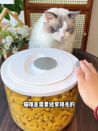 猫咪是需要经常排毛的,你不安排它排毛,胃里堆满了毛球,就会呕吐。可以给它试试这个云杉加鱼油,双效合一的排毛大师,不仅可以温和排出毛球,还能补充营养,长肉发腮!