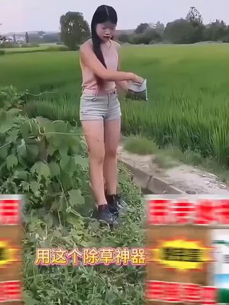 #环嗪酮除大树竹子灌木杂草 #环嗪酮 #三农流量扶持计划