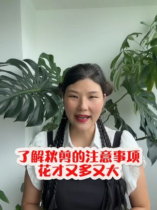 了解秋剪的注意事项,花才能又大又多 #秋剪 #养花 #花卉绿植 #家庭养花