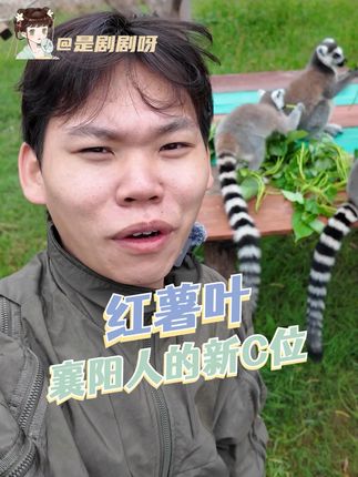 好一场酣畅淋漓的文化交流啊!我也想试试了!#襄阳送走了豆橛子迎来了红薯叶 #豆角和红薯叶难分伯仲 #一回生鄂回熟