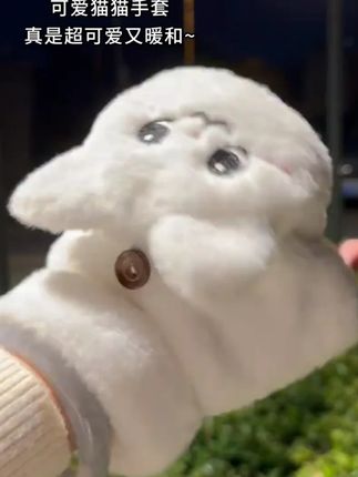 「陶蓉蓉」噜噜猫手套秋冬可爱韩版卡通加绒情侣保暖毛茸茸翻盖手 天气凉了,快给你爱的人准备这个#猫爪手套 卡通猫猫可爱的,让她这个冬天暖暖的! #好物推荐🔥 #手套 #女生必备 #毛绒玩具