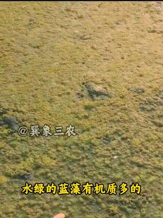 #水产养殖#高密度养殖#鱼虾蟹养殖