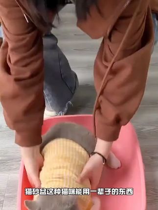 超大号猫砂盆,方便又好用~ #无限回购的宝藏单品  #猫砂盆  #萌宠好物  #新手养猫  #超便宜超划算