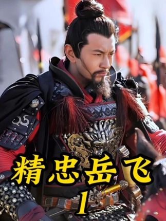 岳飞第一次带兵,竟然就用一百人剿灭了八万山贼!#历史剧解说 #岳飞