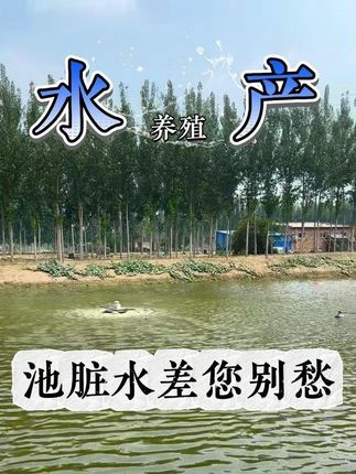 池塘水质差不用愁,粪硫菌来了#水产养殖 #鱼虾蟹养殖 #水产人 #养殖人加油