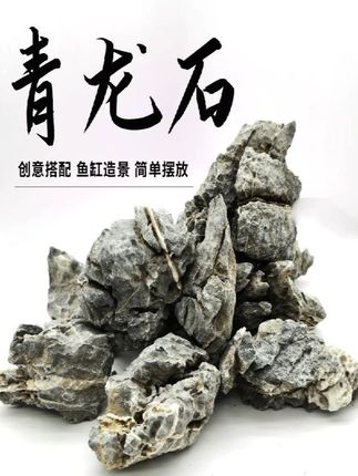 青龙石松皮石溪流石鱼缸造景石天然真石头草缸假山小块盆景微景观#养鱼养心 #养鱼日记 #轻松养鱼