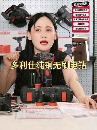 DOLIZ【工业级】多利仕纯铜无刷电钻充电打孔锂电钻