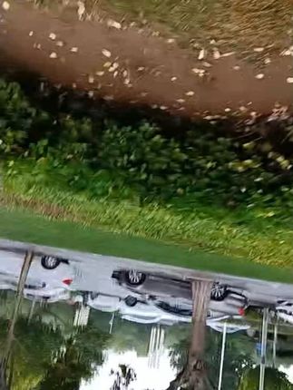 皇尚香贵州高山土麦子面条健康全麦碱水面挂面劲道耐煮#面条#健康面条#劲道面条#贵州面条