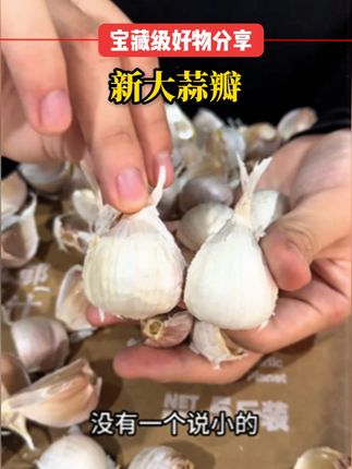 / 新晒干的大蒜瓣,瓣大饱满剥起来简单用蒜方便。没有蒜杆没有蒜根~瓣大饱满蒜香味浓 #优质农产品