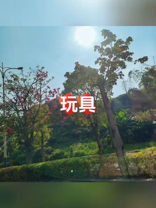鹦鹉鸟用品玄风牡丹虎皮手养鹦鹉啃咬玩具磨喙补钙营养海星钙奶石#宠物玩具 #玩具 #宠物用品 #宠物用品推荐 #萌宠好物