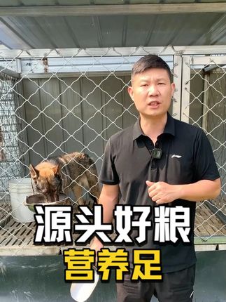 高含量冻干注入鲜肉能量,源头好粮营养足 #狗粮推荐 #冻干狗粮 #营养狗粮 #源头实力厂家 #厂家直销