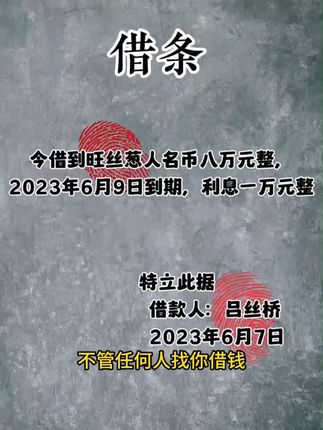2025年新款借条欠款条能更好的保障出借人的利益#借条 #借条与欠条的区别 #借条的正确写法