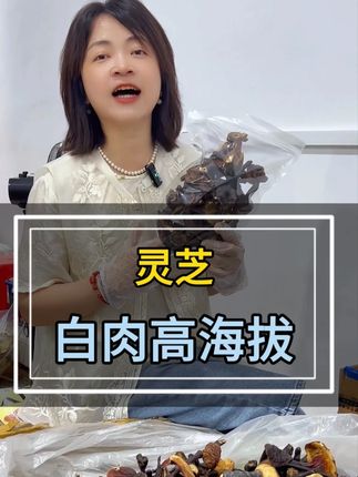 高海拔的白肉小灵芝, 还是西藏野孩子的,没试过的一点要试试!#灵芝