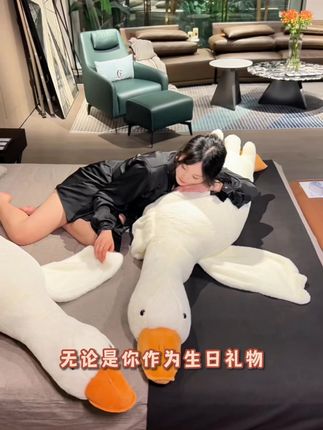 好喜欢这个礼物 #抱枕 #大白鹅 #毛绒玩具